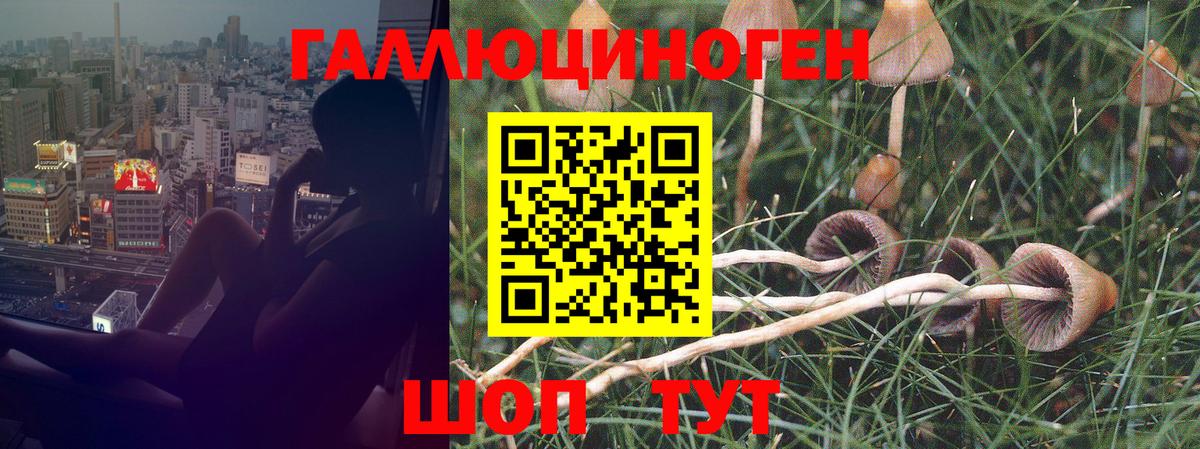 Псилоцибиновые грибы Psilocybe  Вход с VPN  закладка  Орёл  Псилоцибиновые грибы Psilocybine cubensis 